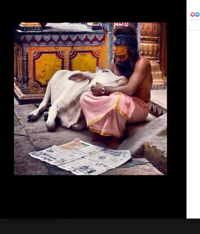 Sadhu and Cow